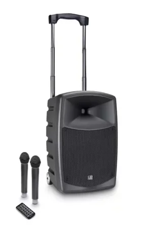 Prix exceptionnel | LD Systems Roadbuddy 10 HHD 2
