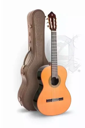 Alhambra Professionnel Luthier Premier Pro Madagascar + 9650 Bam Iconic Etui | Envoi rapide
