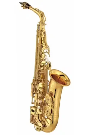 Nouvel arrivage | Yamaha YAS-875EX Custom - Alto Mib Verni