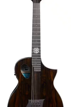 Nouveau chez nous - Michael Kelly Forte Port 12 Randy Jackson Signature 12 Cordes Natural Gloss