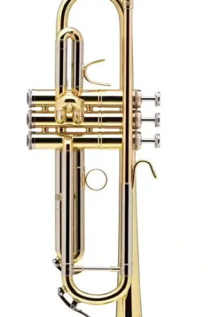 BS Prodige Sib Vernie - BS210-1-0 - Premium