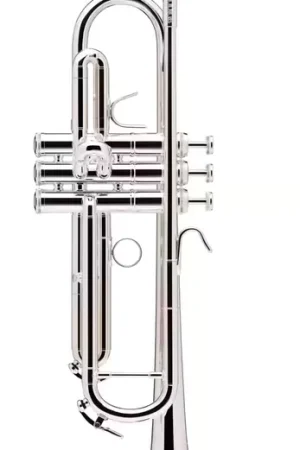 Offre flash - BS Prodige Sib Argentée (Branche Inversée) - BS210LR-2-0