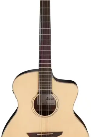 Plébiscité par les clients | Ibanez PA300E-NSL Natural