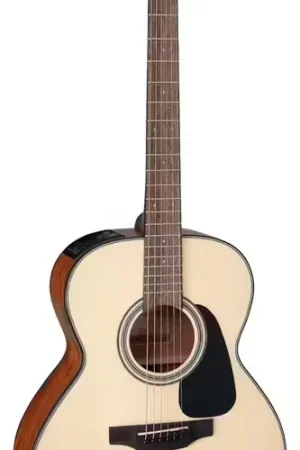 Takamine Gln12Ens 12 Nex Epica-Acajou | Dernières unités