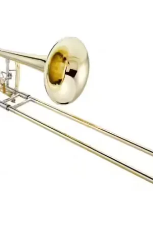 Qualité supérieure - XO XO1240lt - Basse Verni