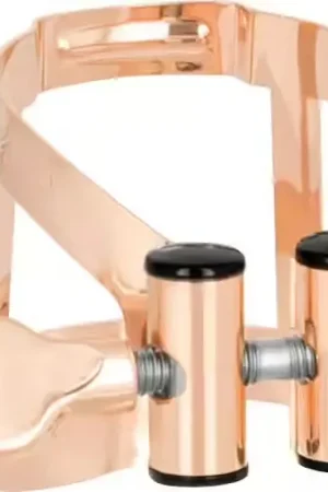 Ne manquez pas cette offre | Vandoren Ligature M/o Or Rose Clarinette Basse + Couvre-bec Plastique