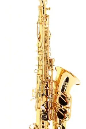 Commandez en ligne | Woodbrass WSA300 - Alto Mi B Verni