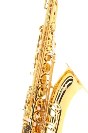 Plus que quelques unités - Woodbrass WST300 - Ténor Si b Verni