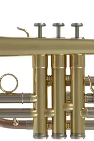 Nouveau au catalogue - Woodbrass WCR200 - Si B Verni