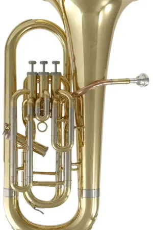 Prix en baisse - Woodbrass WEU200 - Si B Verni
