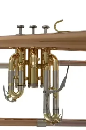 Woodbrass WFH400 - Si B Verni | Promo exceptionnelle