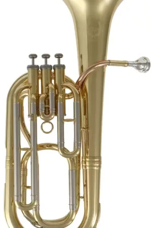 Best-seller - Woodbrass WSH200 - Si B Verni