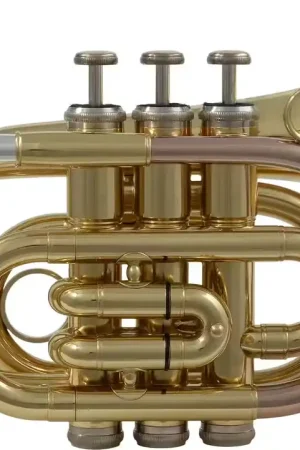 Bon prix - Woodbrass WTP200P - Si B Verni