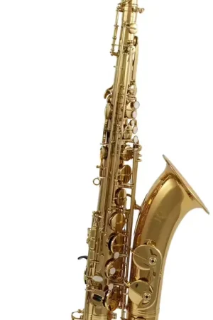 Woodbrass WST100 - Ténor Si b Verni - Plus que quelques jours