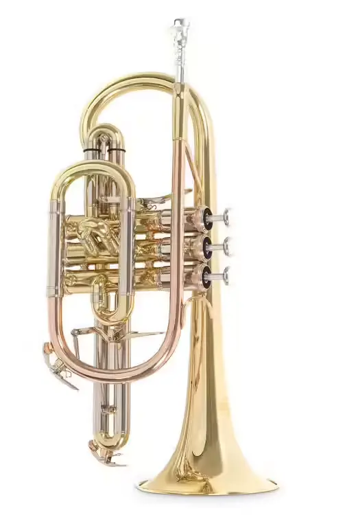 Roy Benson Cornet Sib Roy Benson CR-302 - Offre spéciale
