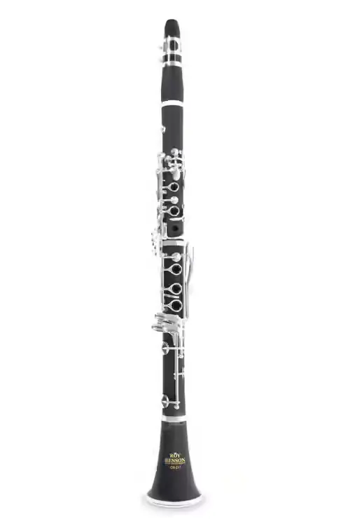 Roy Benson Clarinette Sib (CB-217) | Expédition express