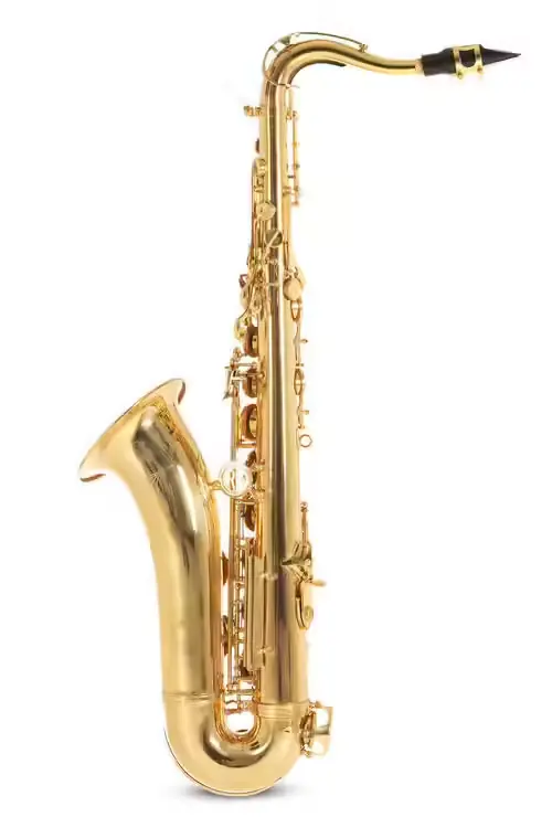 Roy Benson Ténor Sib (TS-302) | Derniers articles