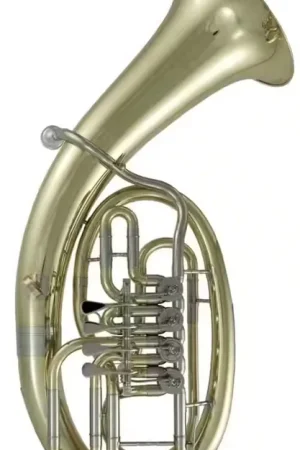 Roy Benson Baryton Sib (BH-202) | Réduction