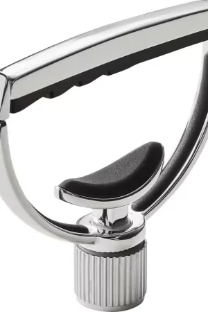 G7th Heritage Guitar Style 1 12-string Silver | Très demandé