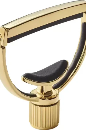 Bientôt épuisé | G7th Heritage Guitar Style 1 Standard Gold