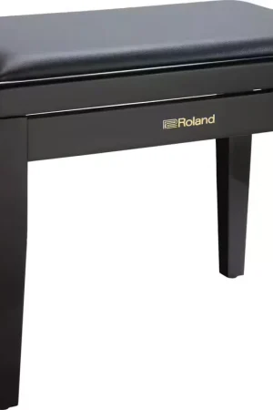 Expédition immédiate - Roland Banquette Clavier RPB-200 Noir
