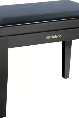 Livraison express - Roland Banquette Clavier RPB-220 Noir brillant