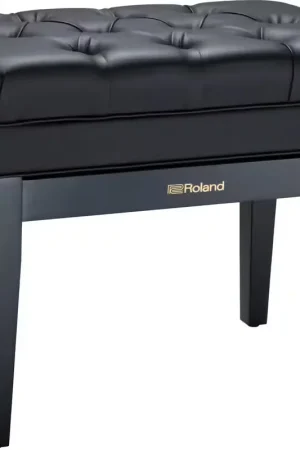 Nouveau lancement | Roland Banquette clavier RPB-500 Noir