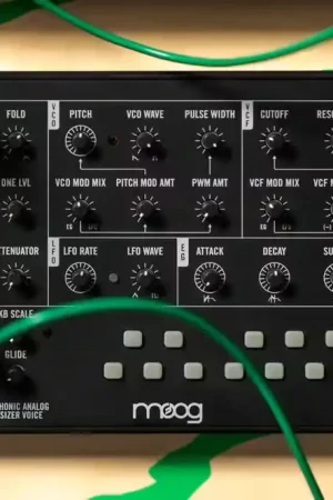 Profitez-en | Moog Mavis