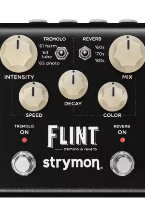 Remise supplémentaire | Strymon Flint V2