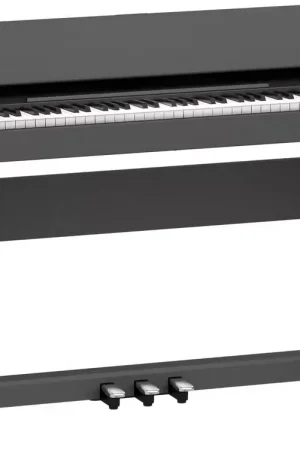Très bien noté - Roland F-107 Noir