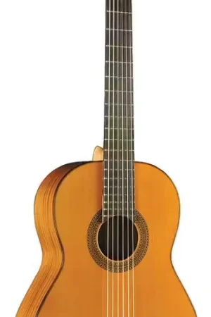 EKO Vibra 300 4/4 Natural - Top des ventes