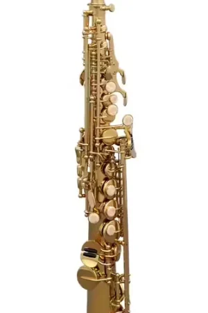 Prix malin | SML Paris S620-II - Soprano Droit Sib Verni
