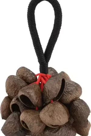 Pearl Drums PBPGRH14 Nut Shaker Pangi Avec Poignee | Prix spécial