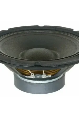 SkyTec SP1000 - Haut-Parleur de Grave, Cône 10 Pouces (25 cm), 300 Watts, 4 Ohms - Aujourd'hui seulement