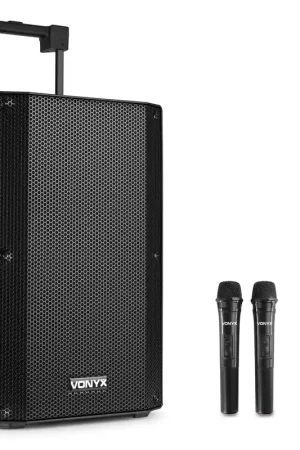 Prix usine - Vonyx VSA500 Sono Portable 800 Watts - Batterie Intégrée