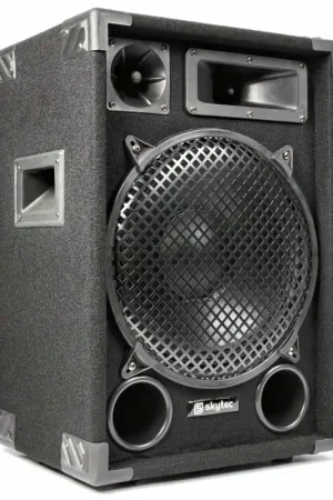 2nde Vie - Max12 - Enceinte Sono Passive, Puissance de 700 Watts, Woofer de 12 Pouces - Derniers exemplaires