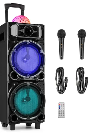 Réduction | Fenton LIVE290 - Enceinte Karaoké Portable 300 Watts 2x8" avec Bluetooth et 2 Micros